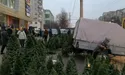 Ялинкові композиції - 300−1800 гривень, ялинки — від 500 гривень