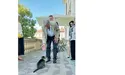 Кіт Левчик посварився з Ющенком