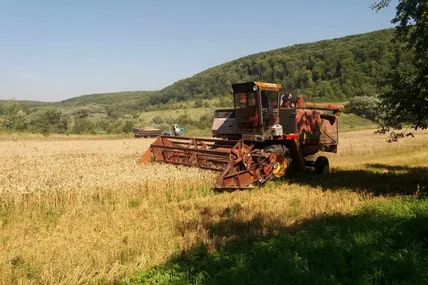 Ці фото ми зробили з однієї точки у різні періоди року: 18 грудня, 19 травня і 6 серпня. Якщо дуже хотіти, добрий урожай можна зібрати навіть тоді, коли зерно посієш серед зими... Фото автора.