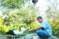 Бузьки відлетіли по-англійськи. Не попрощавшись...
