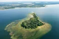На острові Світязя вже оселилися баклани та чаплі: орнітологи виявили 120 гніздових пар