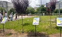 «Діти хотіли записати відео з вибаченням, але батьки були проти…»