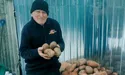 Алтинівський картопляр Василь Беспалий