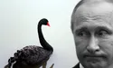 До путіна летять «чорні лебеді»