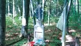 «Лютневі прогнози, мовляв, Україна впаде за кілька днів, з’явилися через те, що Захід не знає історії УПА»