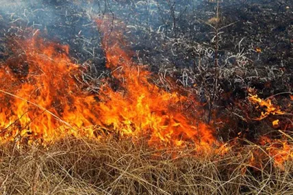 Фото: Поліція Львівської області