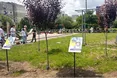«Діти хотіли записати відео з вибаченням, але батьки були проти…»