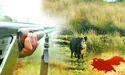 Стріляв на шум кабана у кущах – застрелив товариша…