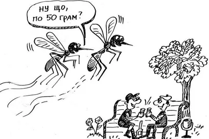 Випив — будеш покусаним…