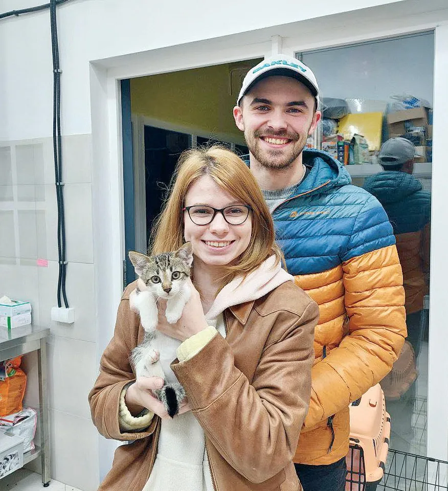 Львів’яни вже розібрали значну частину котів і собак із Херсонщини.