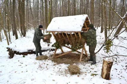 Такий підгодівельний майданчик врятує не одну лісову тварину…