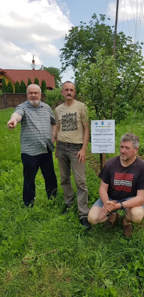 Перші грядки