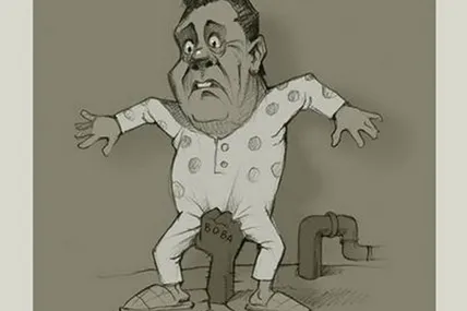 Малюнки Журавля розтягли на схеми для вишивок