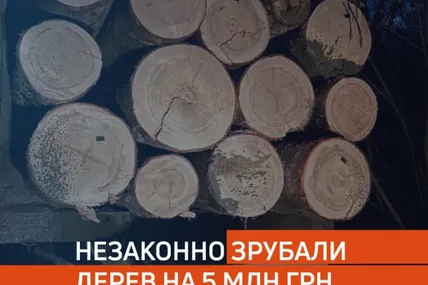 Фото:ДБР