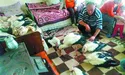 Рятувати лелек «без фанатизму»