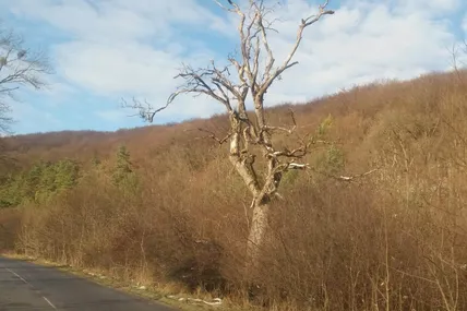 Небезпека край дороги