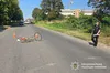 У Сокалі внаслідок наїзду вантажівки травмований 80-річний велосипедист