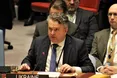 Україна у Радбезі ООН оголосила заяву чотирьох країн щодо катастрофи Boeing
