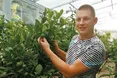 У Сумах ростуть теплолюби