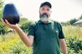 Виростив баклажан вагою майже 2,5 кг