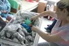 За час війни у міських пологових Львова народилося 3723 немовлят