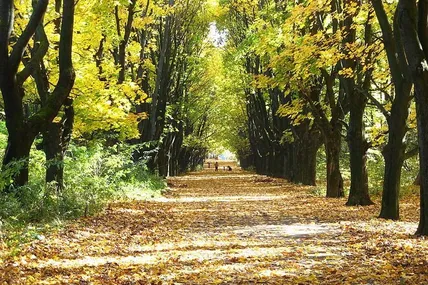 Фото з відкритих джерел