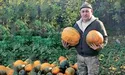«Гарбузова справа» ветерана