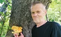 Гриби-кулини одним нагадують варену курку, іншим – смажену рибу
