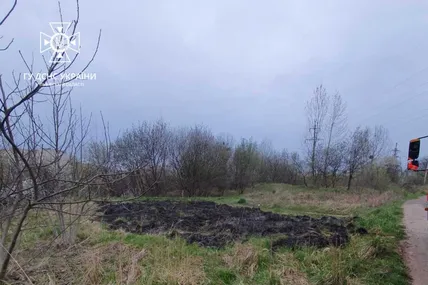 Пожежа сухостою. Фото: ДСНС Львівщини