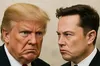 Трампа розлютили натяки Маска на зв’язок з Епштейном та заяви про вибори