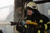 За добу на Львівщині ліквідували 18 пожеж, більшість — в екосистемах