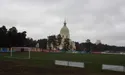 Між соснами та шахтами