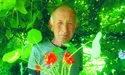Настурція у Липицях – ще й оберіг...