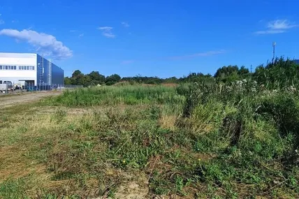 Фото із соцмереж Львів.Містобудування