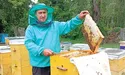 Перевіз пасіку подалі від війни
