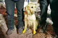 Урятував з-під завалів п’ять людських життів