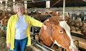 Біля «щасливих корів» і люди щасливі…