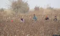 Працюють усі! Лікарі, вчителі, бібліотекарі…