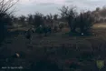Оперативне зведення з фронту: ворог не припиняє спроб наступу