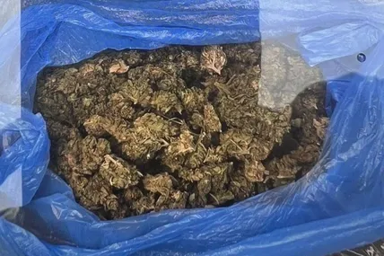 Фото: Державна прикордонна служба України