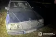 На Рівненщині водійка збила відомого оленя Бориса