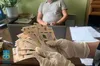 Заступнику міського голови Червонограда повідомили про підозру за хабар
