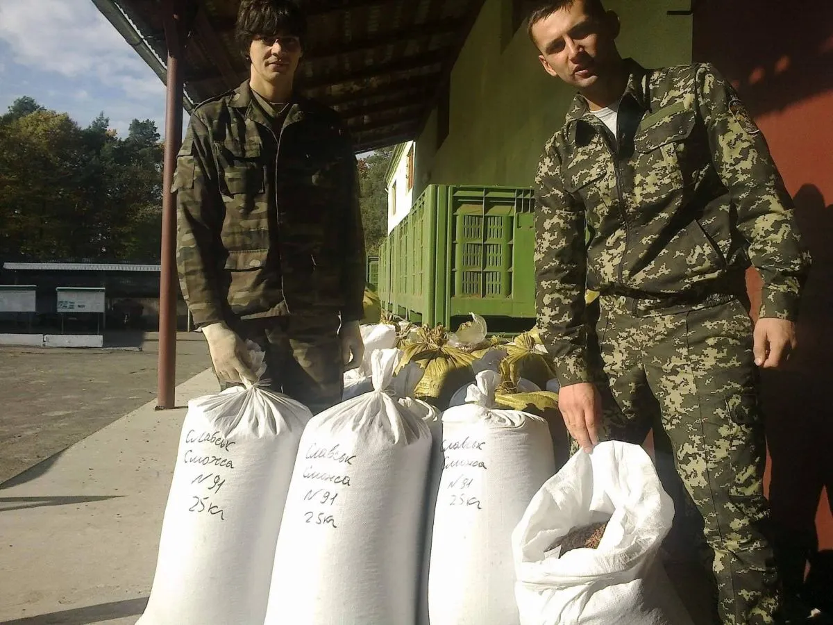 Мішки із шишками готові до відправлення на переробку до Львова.