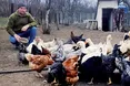 Учасник бойових дій розвиває власне господарство