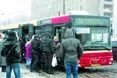 «Білі мухи налетіли» – львівський транспорт зупинили
