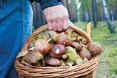 Смачні, корисні, але й небезпечні