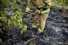Масштабне займання сухостою у Великих Грибовичах: вогнеборці ліквідували пожежу