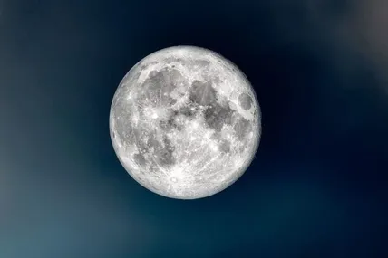 Фото: 24 канал