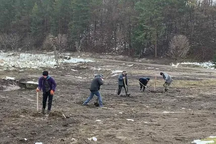 Черешневу алею посадили на початку вологої зими - саджанці добре приживуться, а навесні відсалютують білим цвітом-феєрверками.