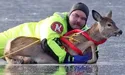 Олень потрапив в обійми пожежника